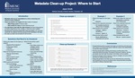 Metadata Clean up Project: Where to Start by Jason Smith